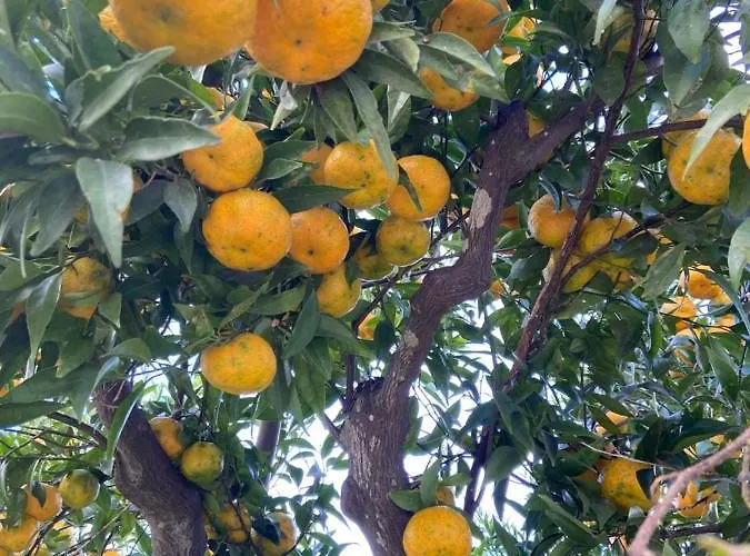 Palazzo Vecchio Отель типа 