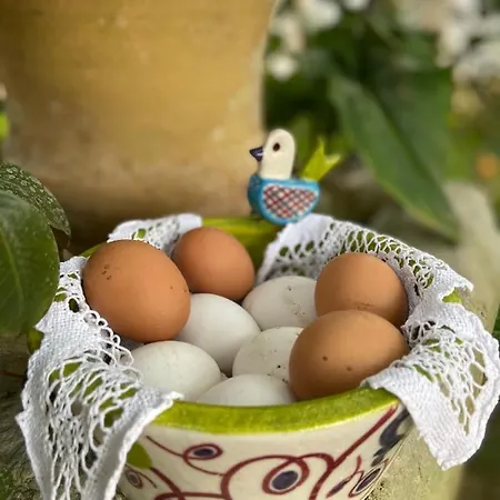 Bed & Breakfast Palazzo Vecchio 4*